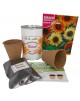 Kit de cultivo Girasol en lata