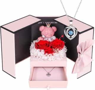 Rosa Eterna con Collar de Plata 925