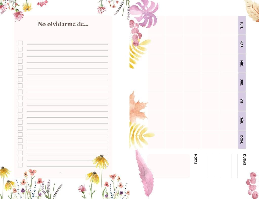 Agenda de embarazo ilustrada, foto 3