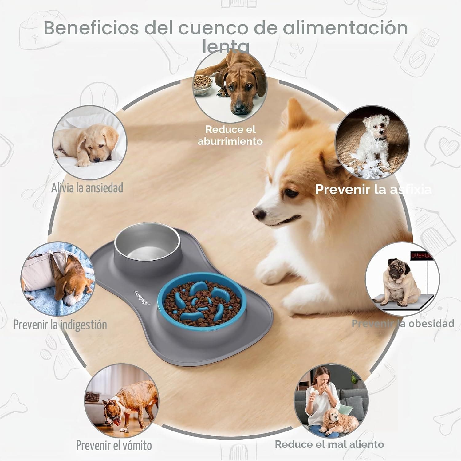 Set de Boles para Perro 3 en 1 con Alfombrilla, foto 3