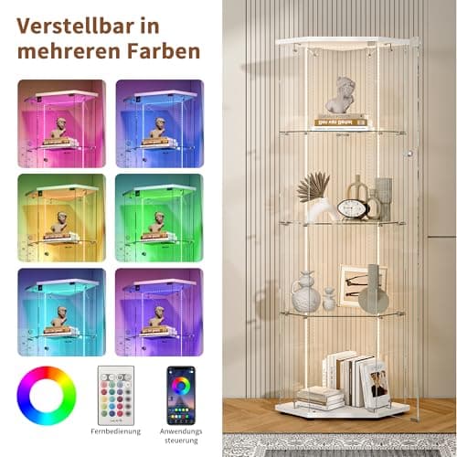 Puerta con cerradura de la vitrina BRILVERDE