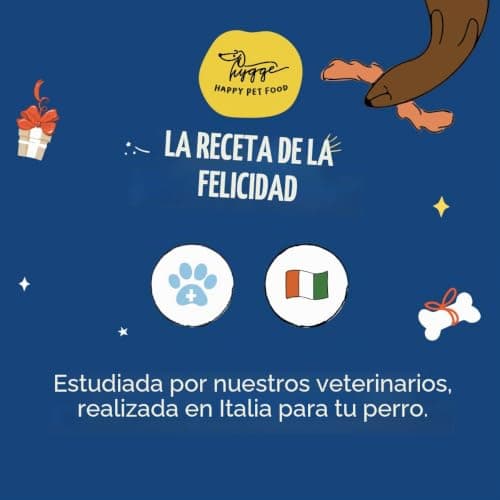 Caja del calendario de Adviento Hygge para perros