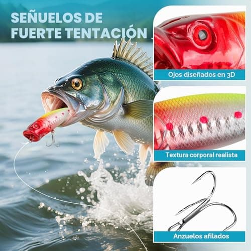 Caja del calendario de Adviento de pesca Vexyra