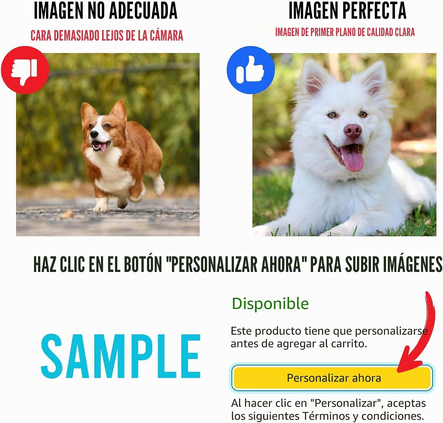 Cinco cojines alineados con las siluetas de cuatro perros distintos y un gato gris