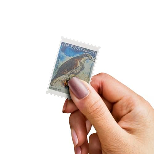 Cubierta de piel sintética negra