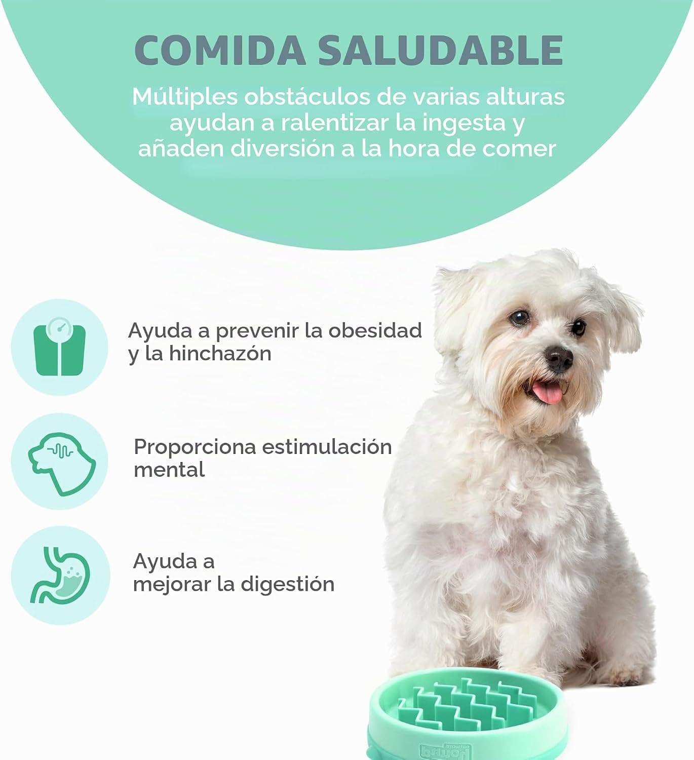 Esquema del fabricante con un perro pequeño blanco junto al comedero verde
