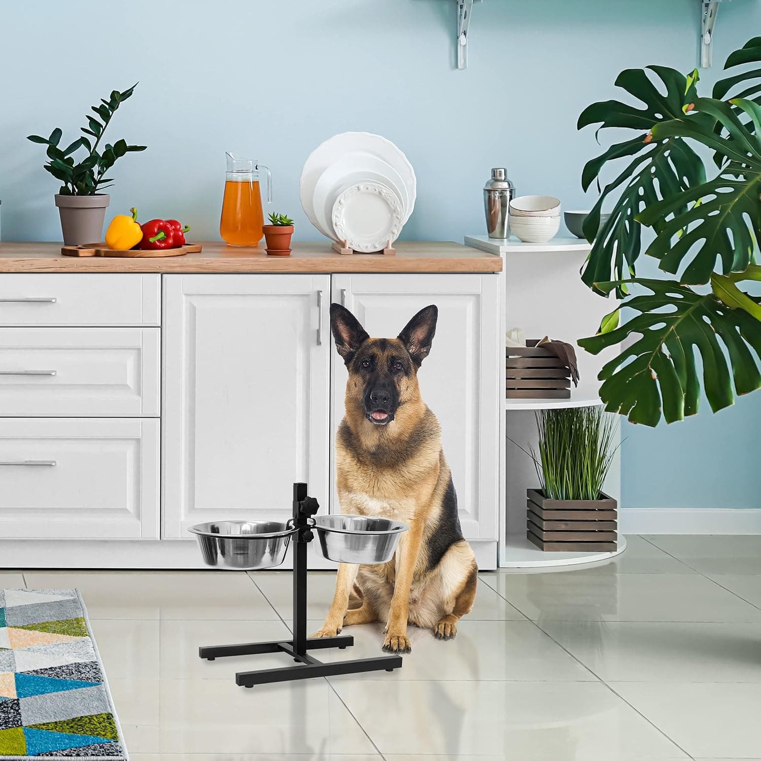 Comedero doble elevado para perros y gatos, foto 2