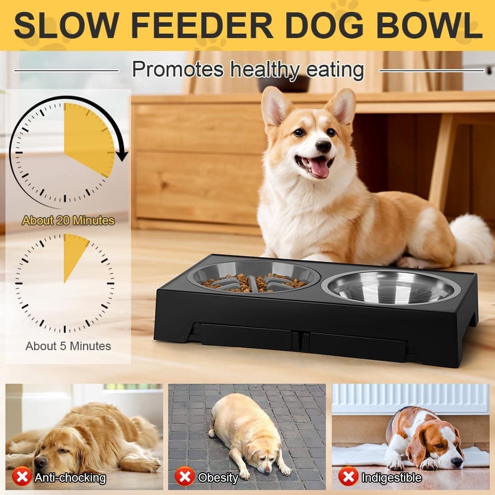 Comedero Elevado para Perro con Altura Ajustable, foto 3