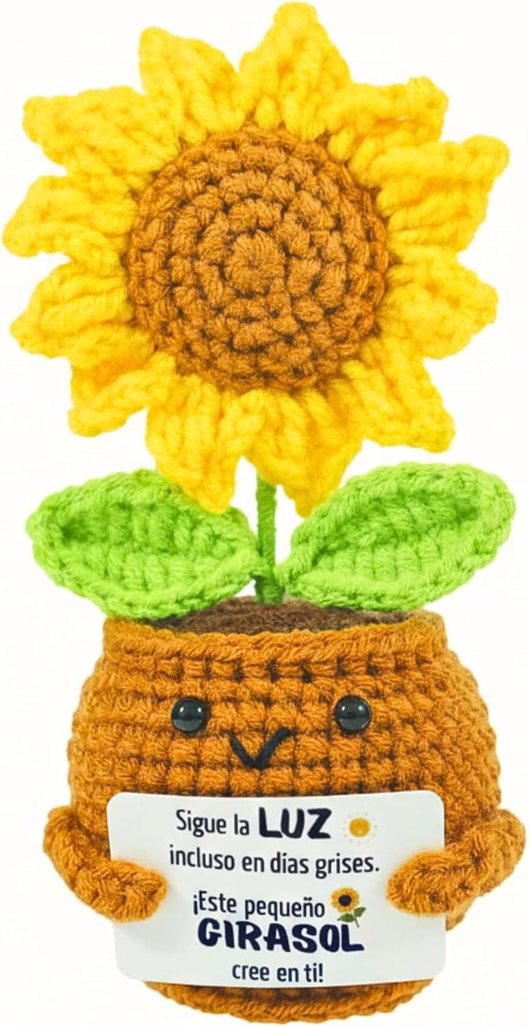 El girasol sostenido en una mano en un salón, con la medida marcada al lado: trece centímetros de alto