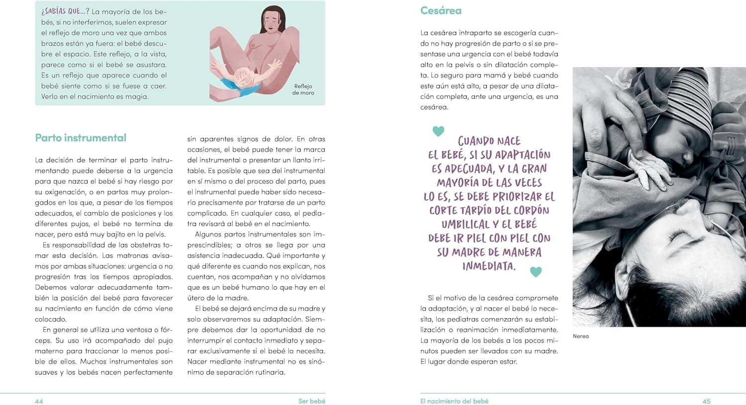 Página interior ilustrada de la guía