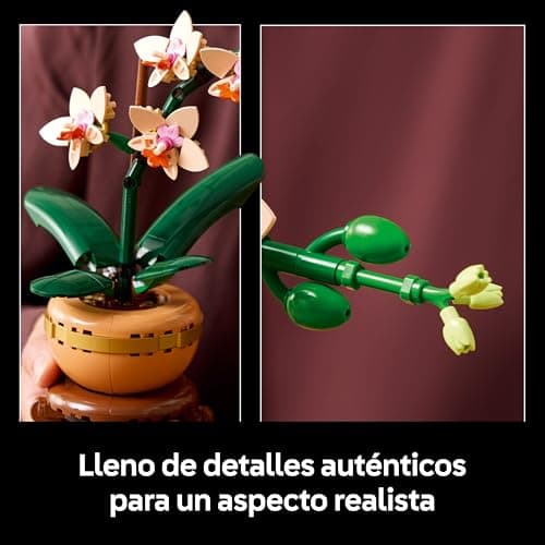 LEGO Botanicals Miniorquídea (10343), foto 4