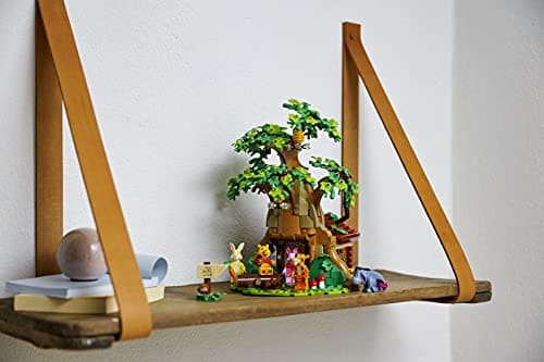 LEGO Ideas Winnie the Pooh (21326), foto 4