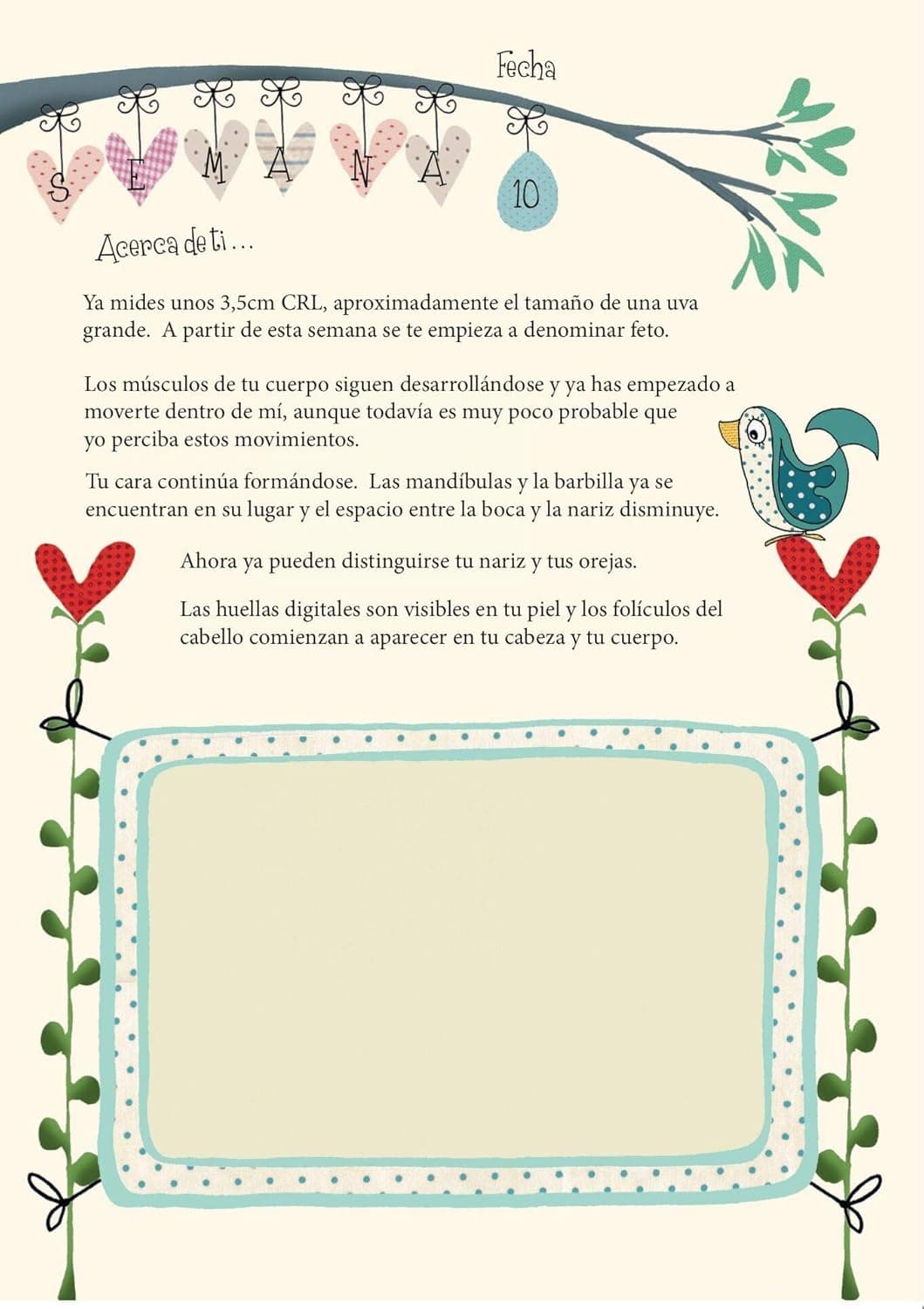 Páginas interiores con preguntas guiadas y espacios en blanco para escribir y pegar fotos