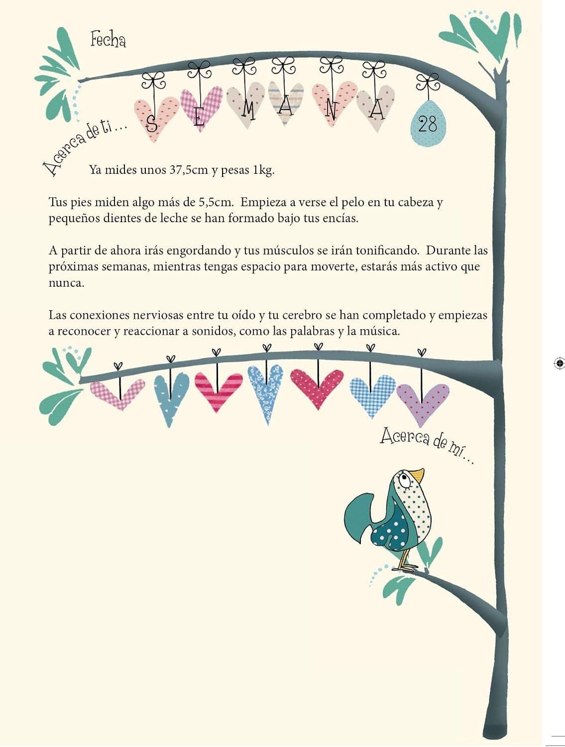 "Cuéntame Mamá: Tu Embarazo y Mi Primer Año", foto 3