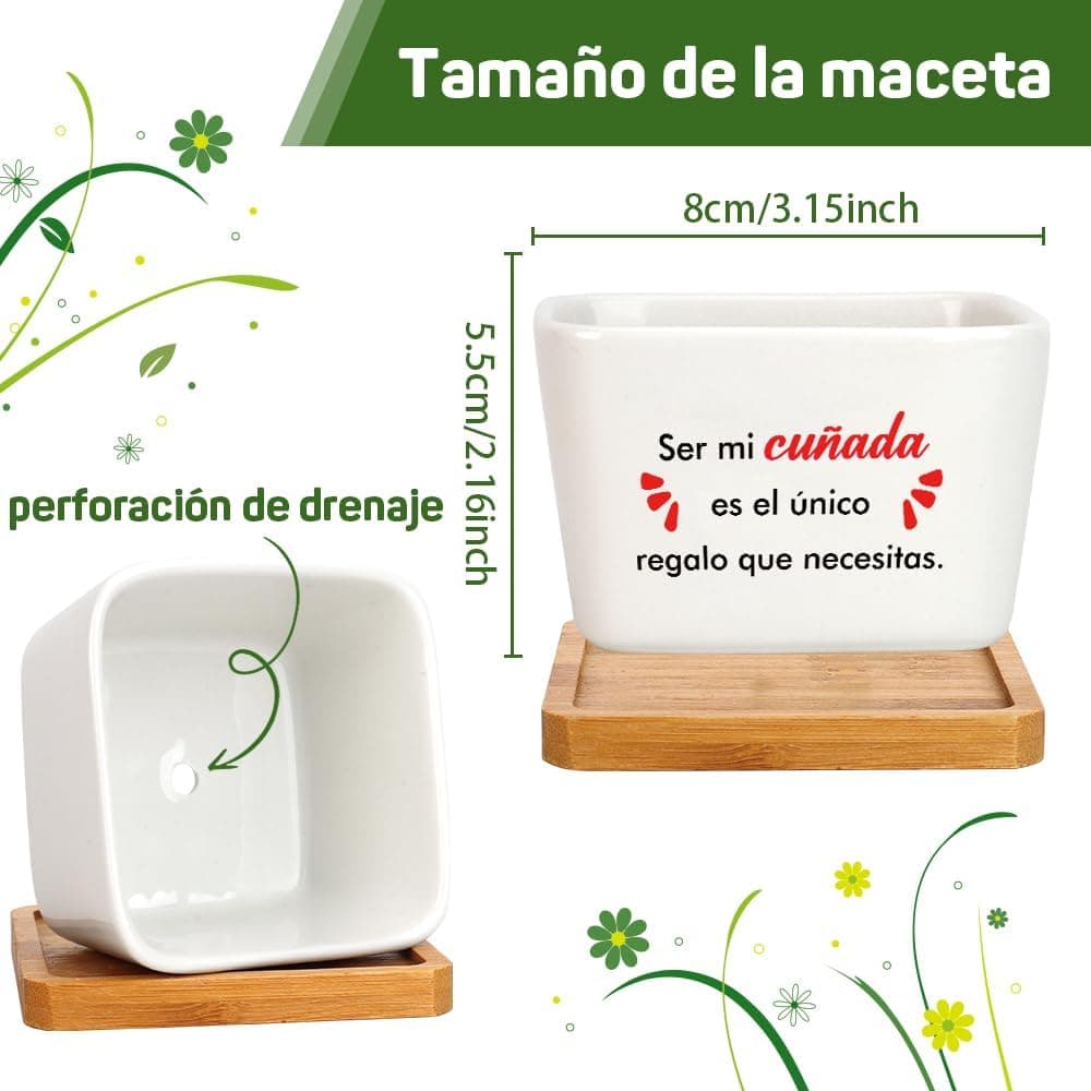 Maceta de cerámica "Ser mi cuñada es el único regalo que necesitas", foto 2