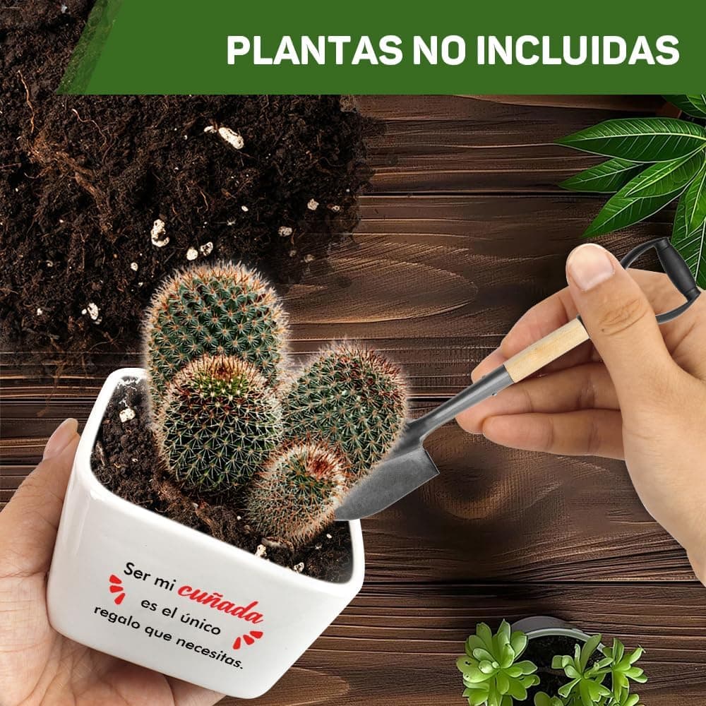 Maceta de cerámica "Ser mi cuñada es el único regalo que necesitas", foto 3