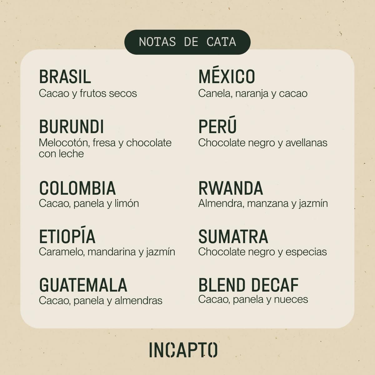 Pack de café de degustación Incapto, 10 países, foto 3