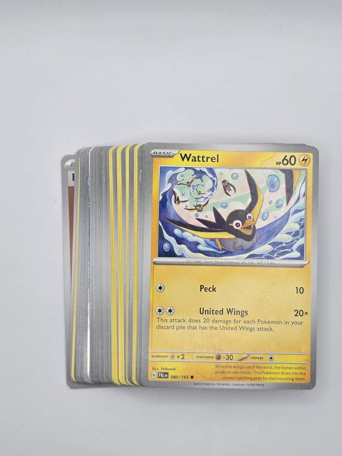 Detalle de varias cartas Pokémon con distintos personajes y bordes de color