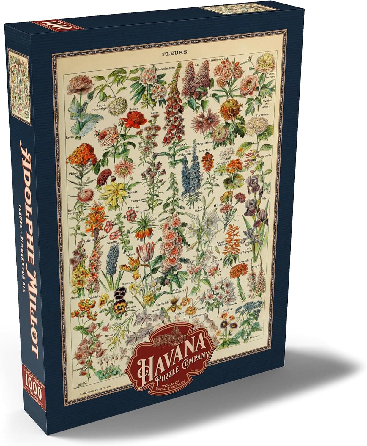 Puzzle de 1000 piezas con un cartel botánico vintage, foto 2