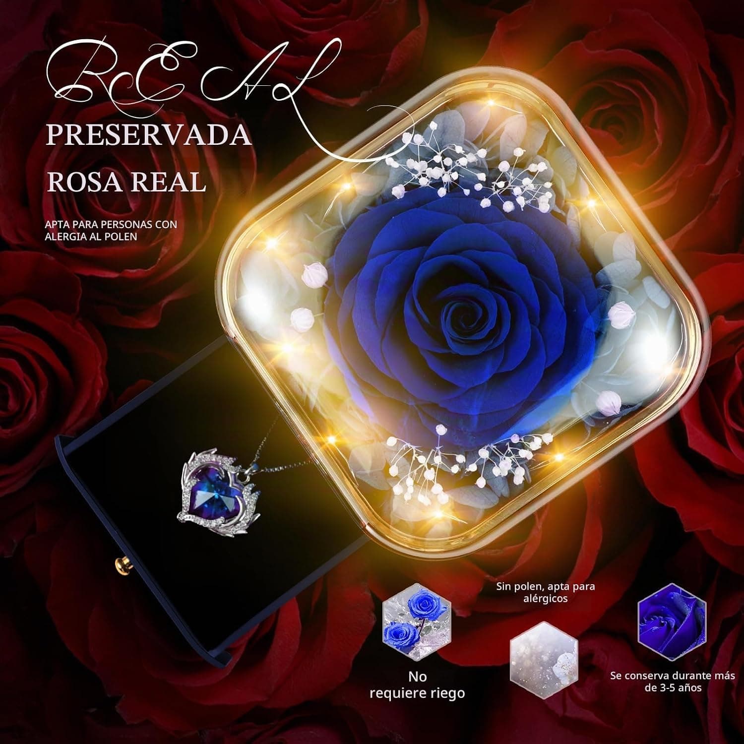 Caja de regalo abierta con una rosa roja preservada y un collar colocado al lado