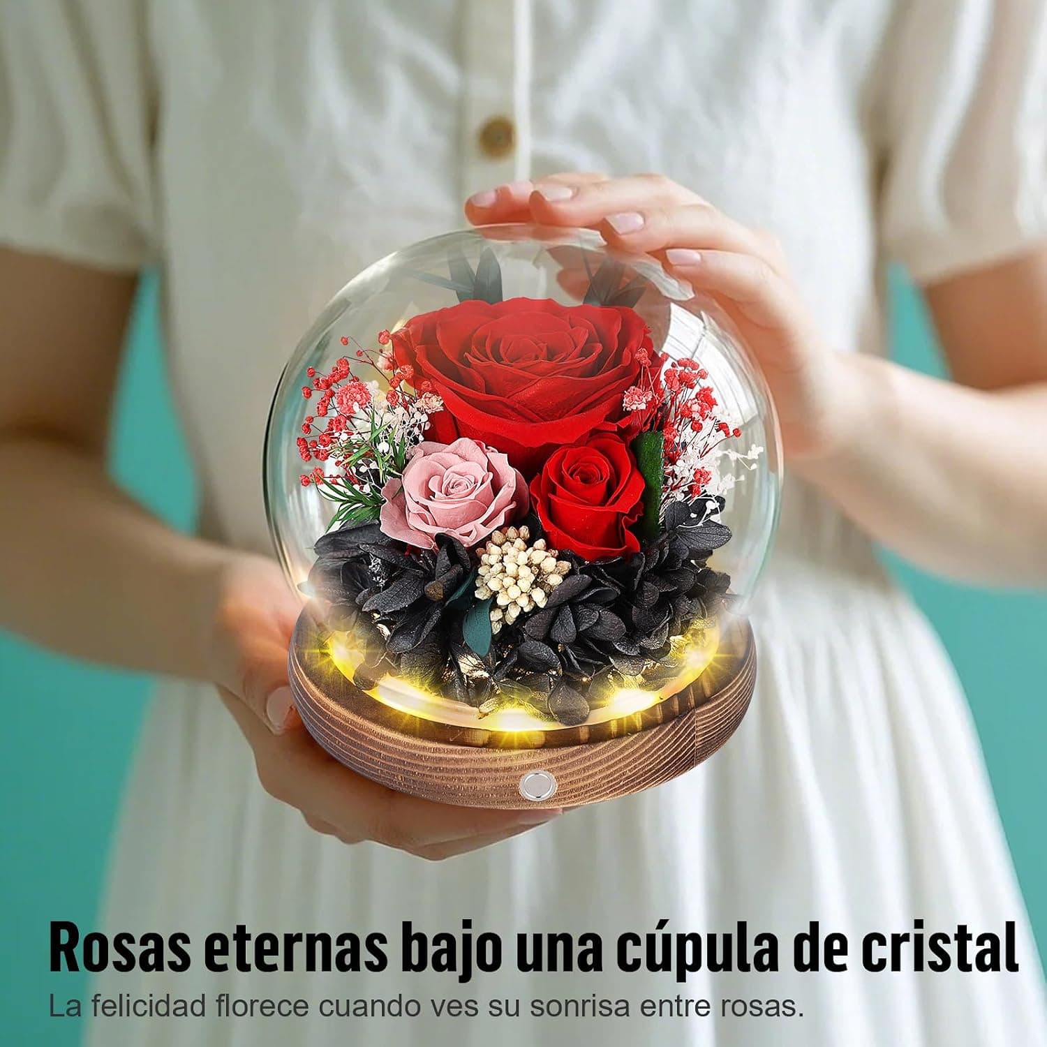 Rosa eterna roja en cúpula de cristal con LED, foto 2
