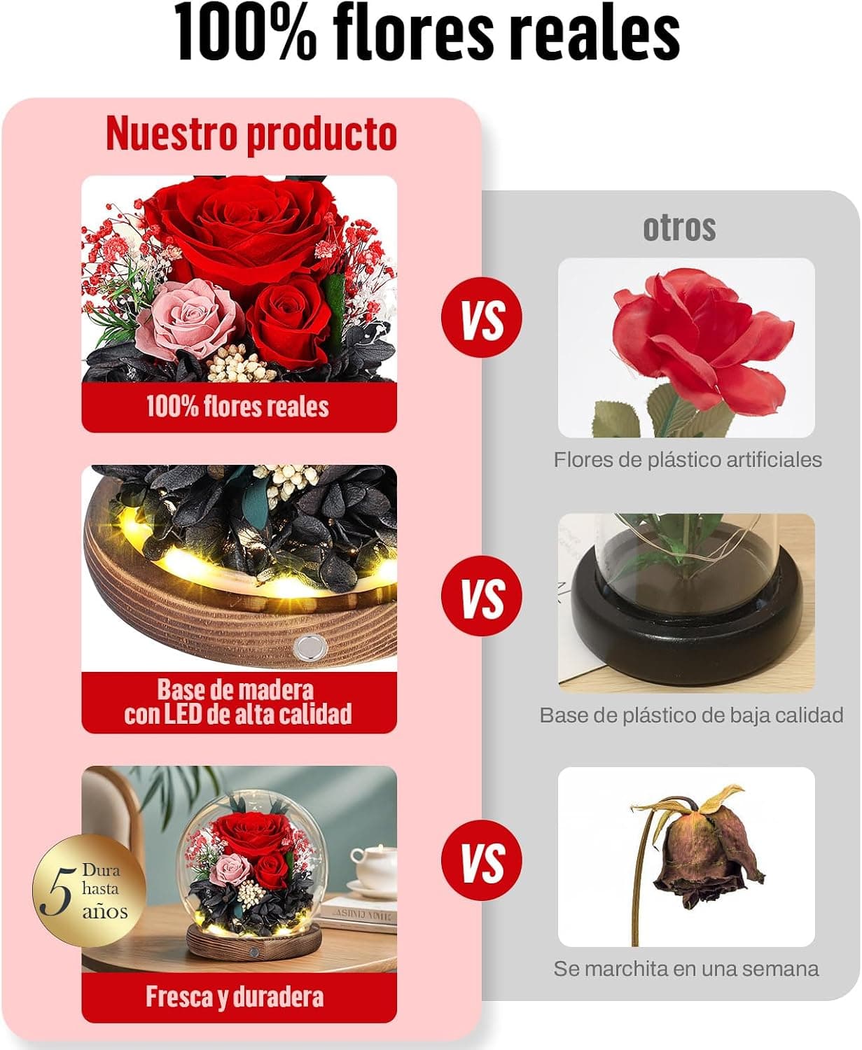 Rosa eterna roja en cúpula de cristal con LED, foto 3