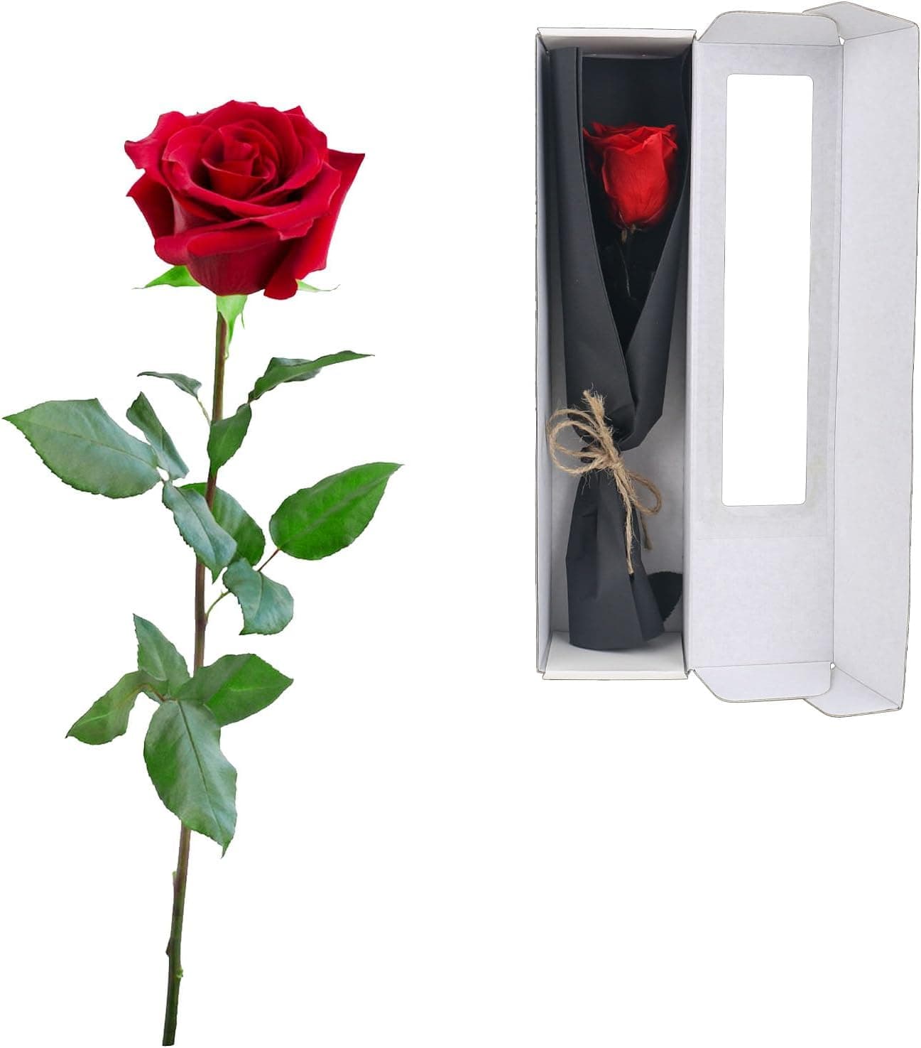 Rosa eterna preservada, regalo de Navidad, con su tallo