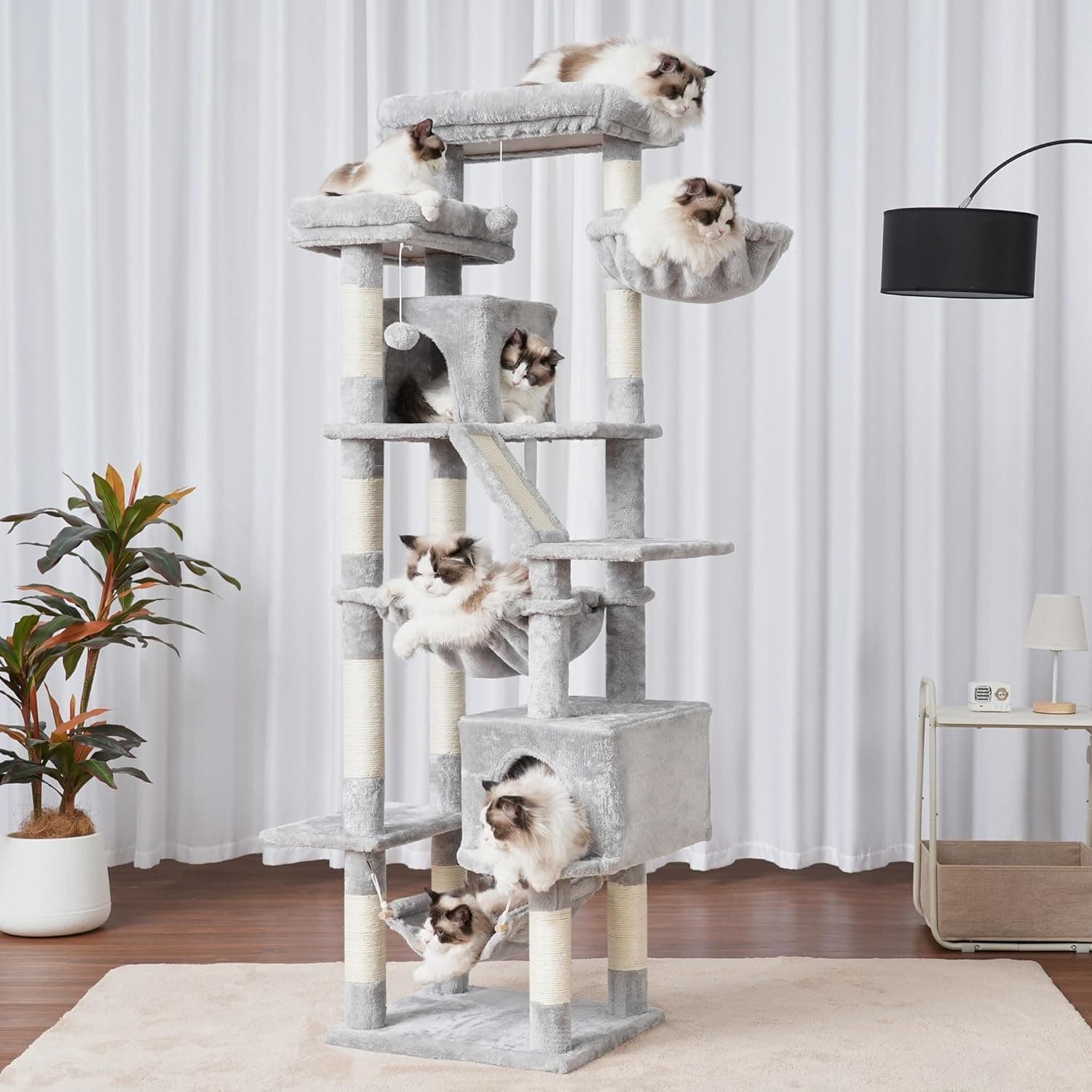 Un gato asomado desde una de las plataformas altas de la torre, en un salón