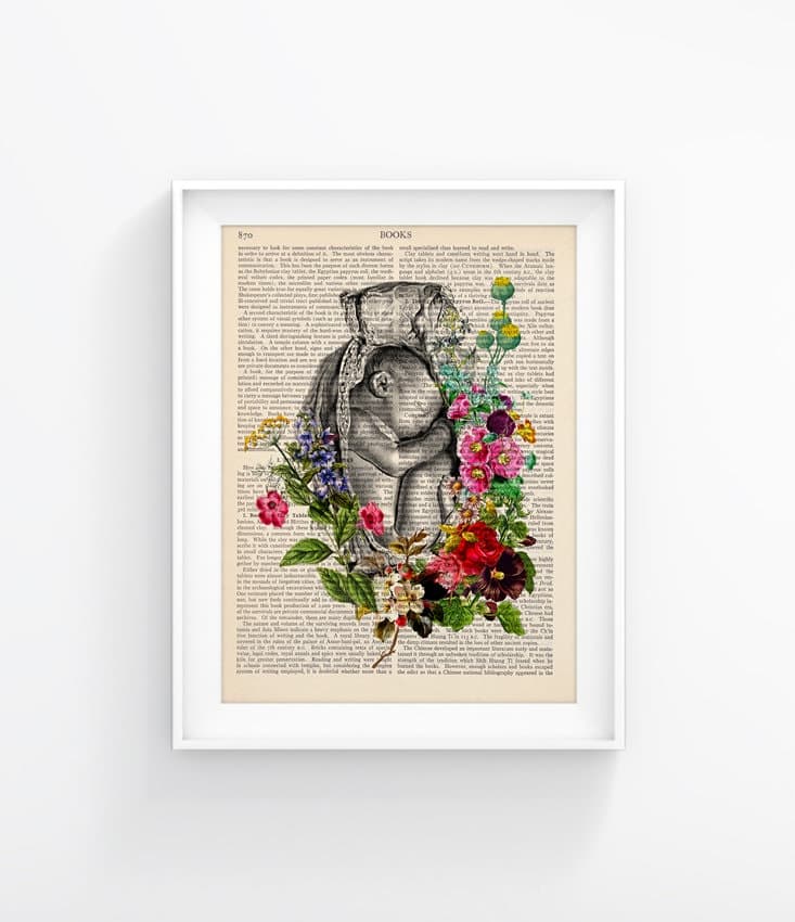 Lámina de anatomía con feto y flores, foto 4