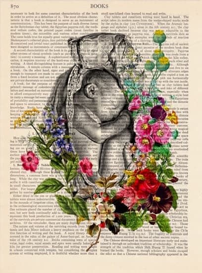 Lámina de anatomía con feto y flores, foto 5