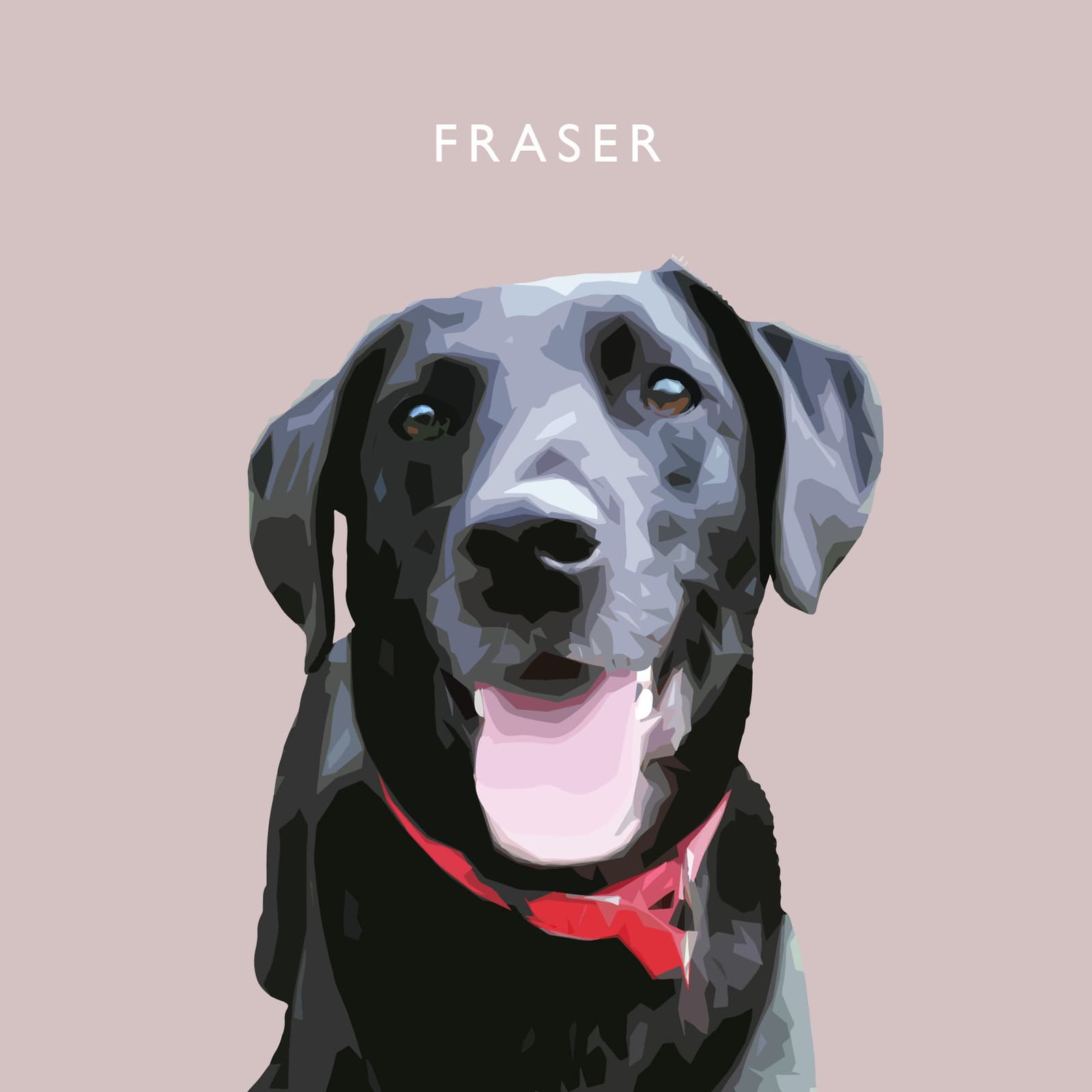 Retrato personalizado de tu mascota en lámina de arte, foto 8