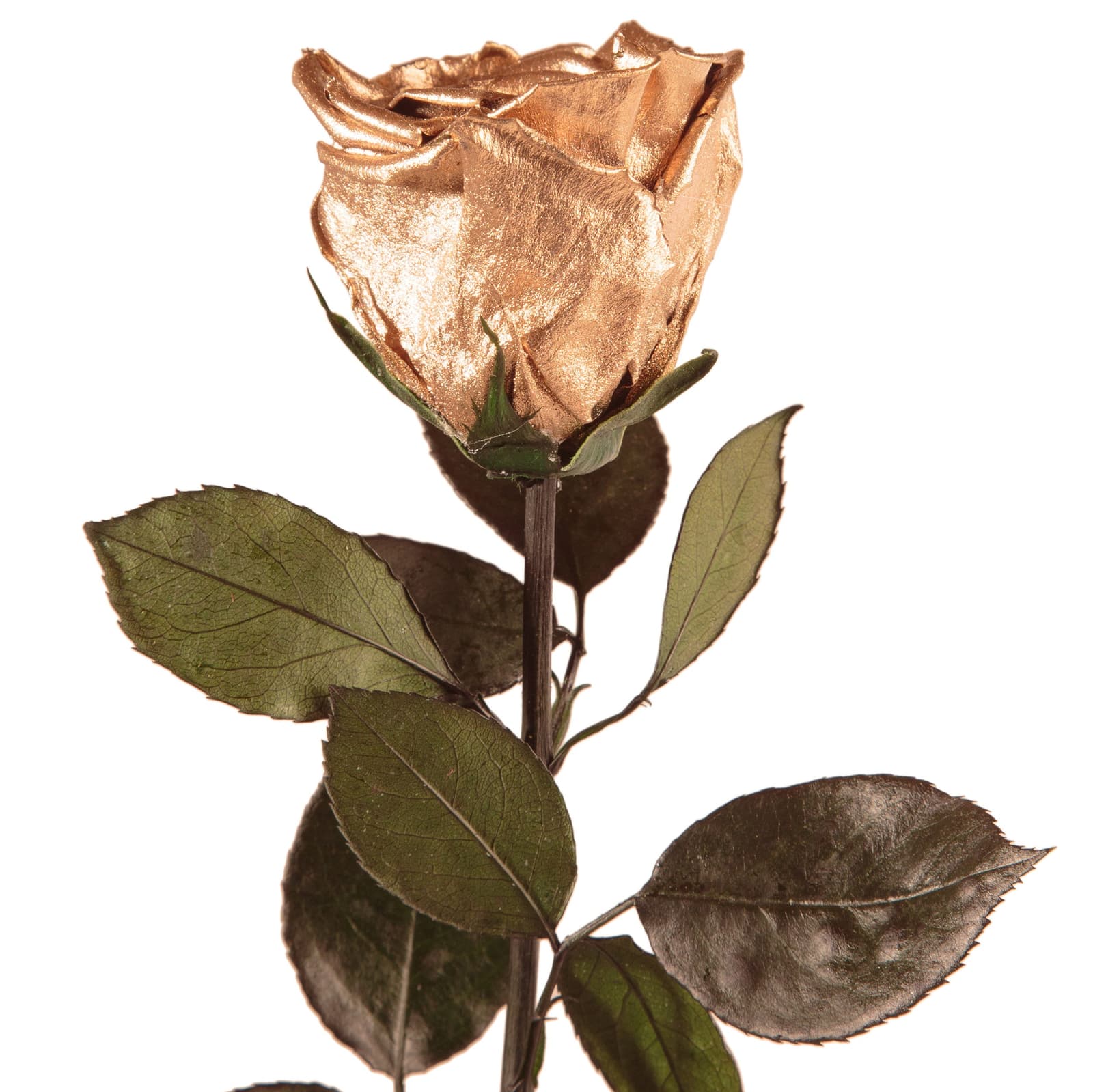 Nahaufnahme einer goldenen Infinity-Rose mit Stiel und grünen Blättern – echte konservierte Rose, 45–50 cm lang, hält 1–3 Jahre.