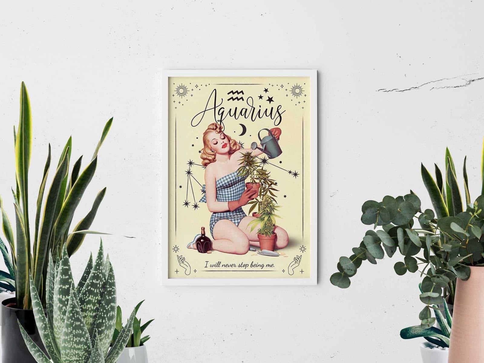 Cuadro enmarcado del signo Acuario con estilo retro colgado en una pared blanca junto a plantas