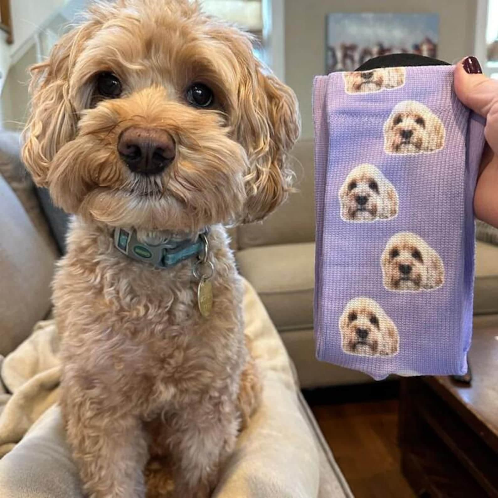 Calcetines morados estampados con la foto de una mascota, junto al perro real