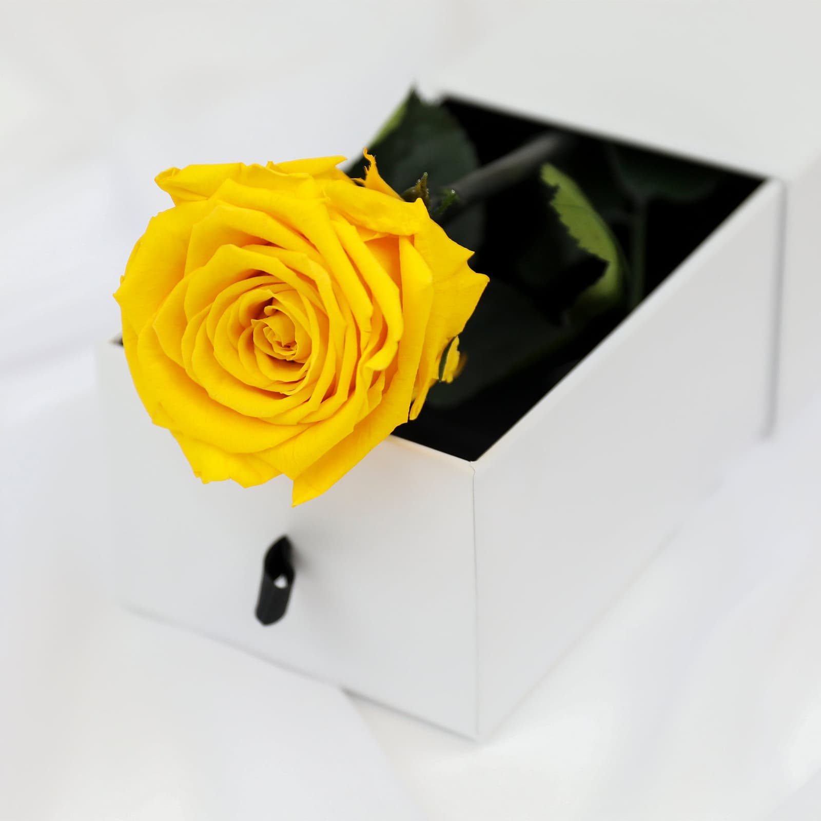 Rosa preservada amarilla en caja de lujo, foto 6