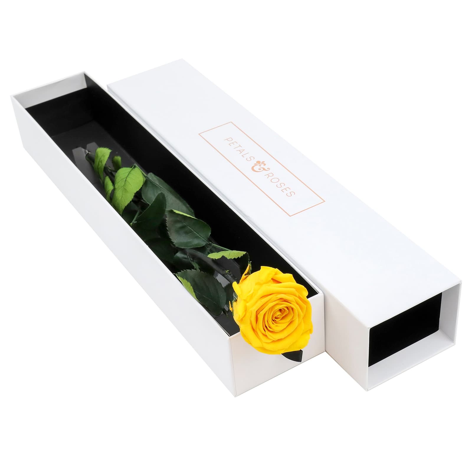 Rosa preservada amarilla en caja de lujo, foto 2