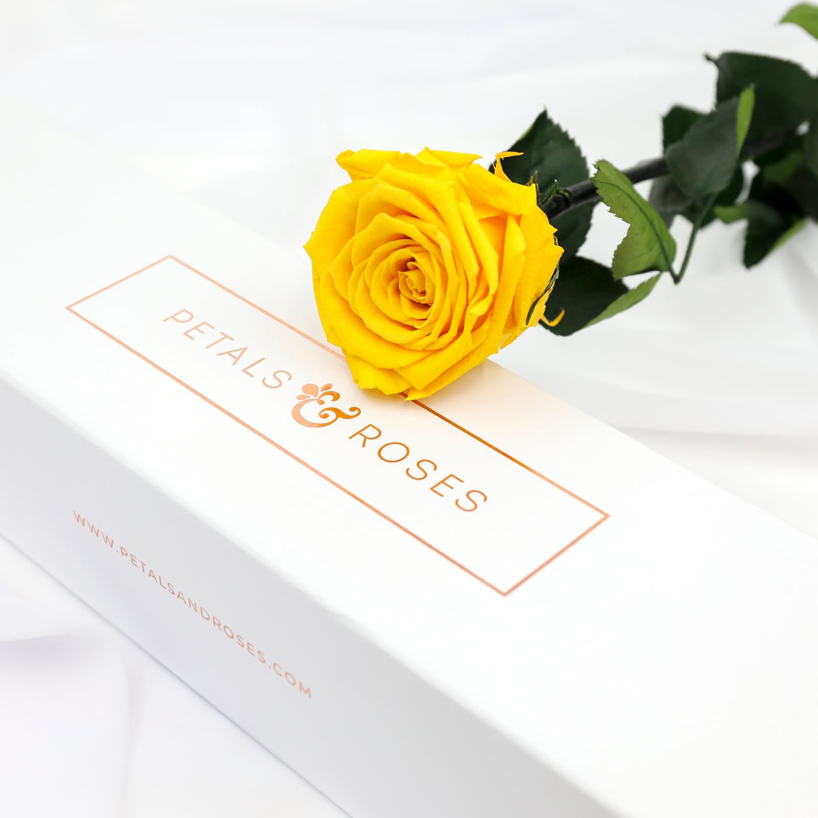 Rosa preservada amarilla en caja de lujo, foto 3