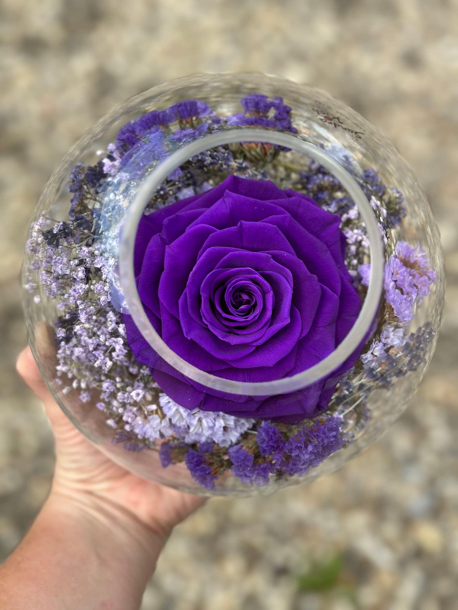 Cúpula de cristal con rosa preservada y flores secas, foto 10