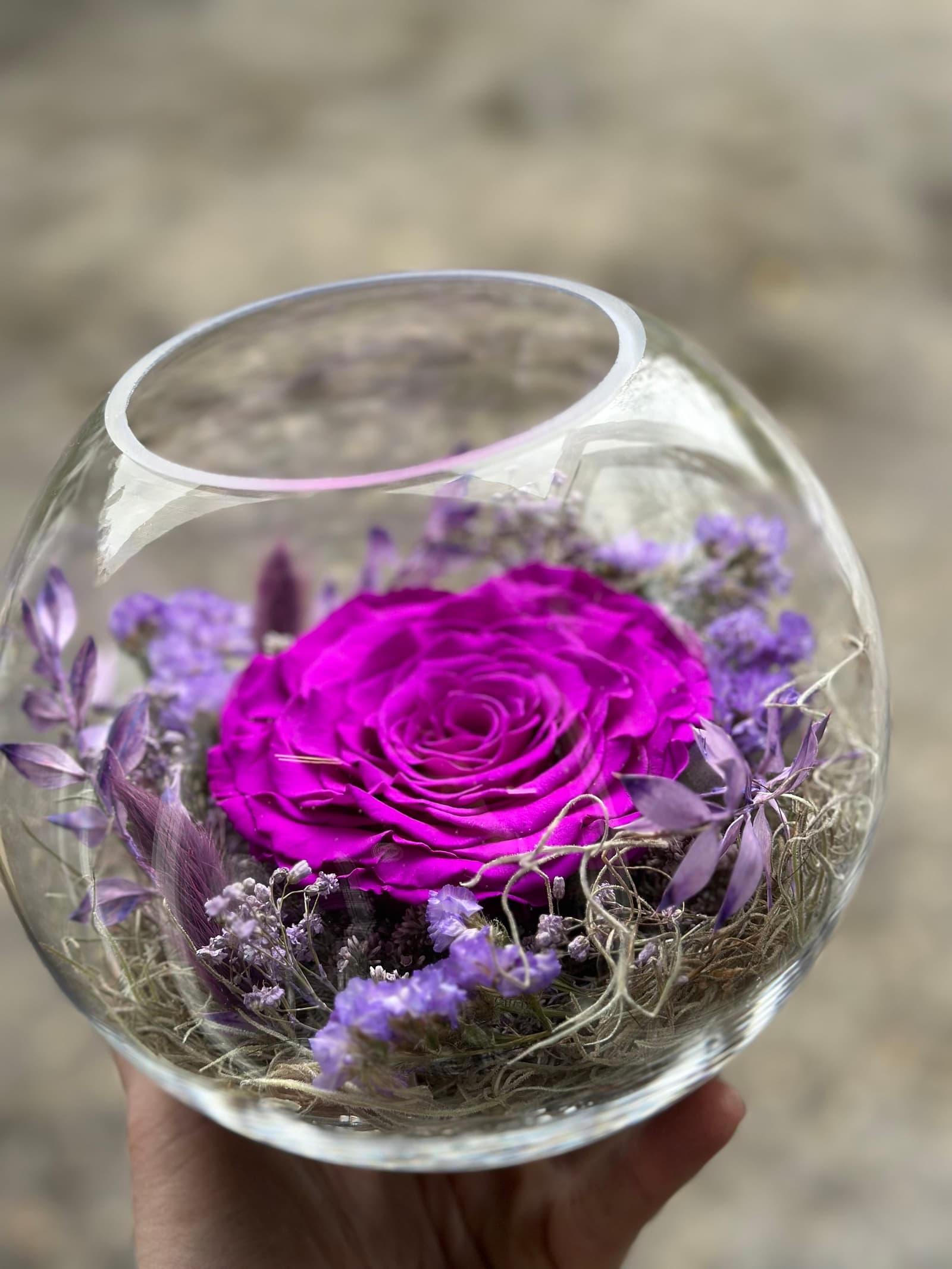 Cúpula de cristal con rosa preservada y flores secas, foto 2