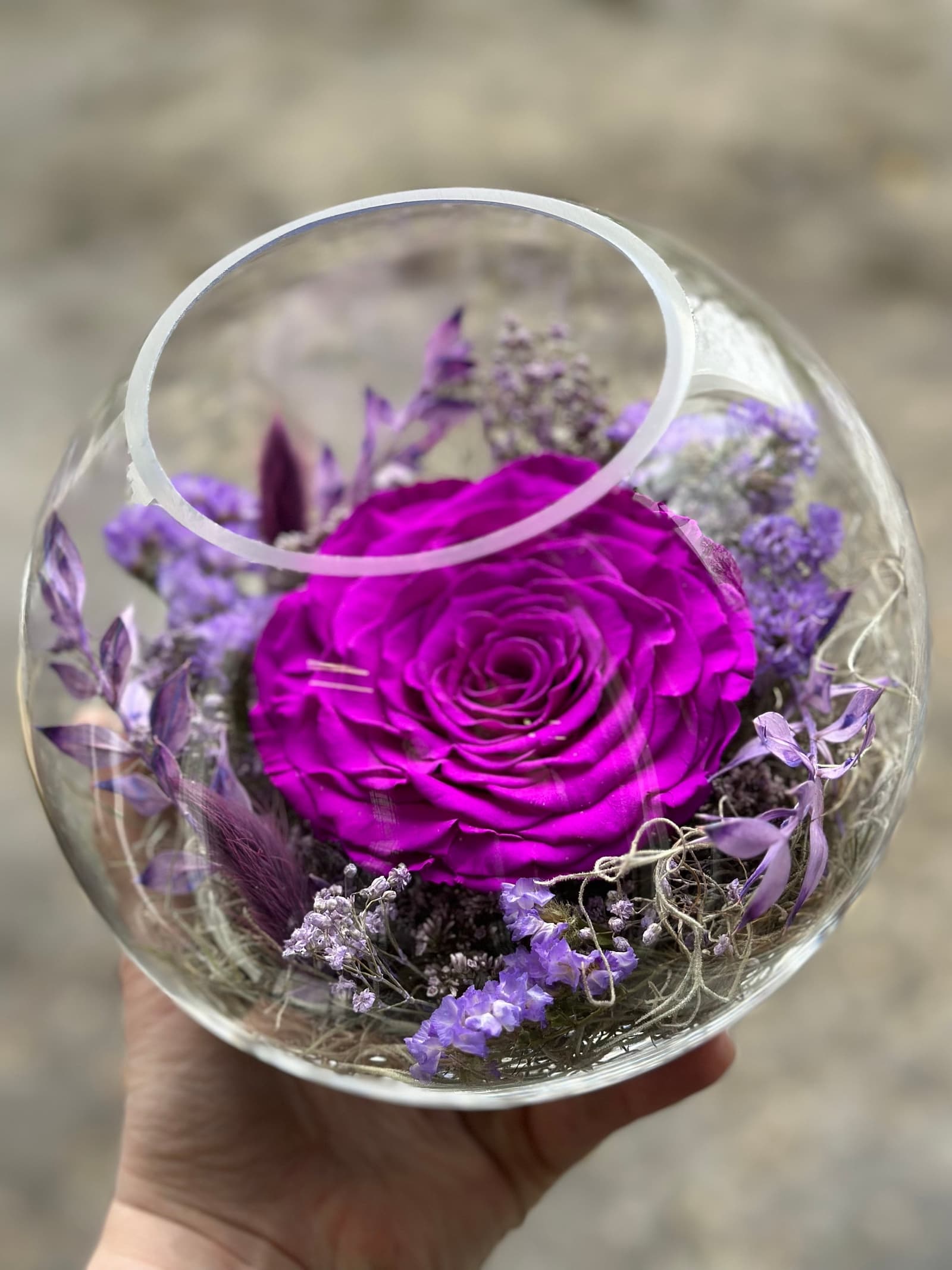 Cúpula de cristal con rosa preservada y flores secas, foto 4