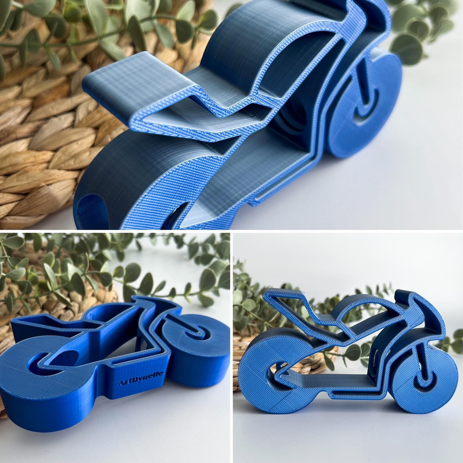 Soporte de diseño para regalar dinero en moto, foto 5