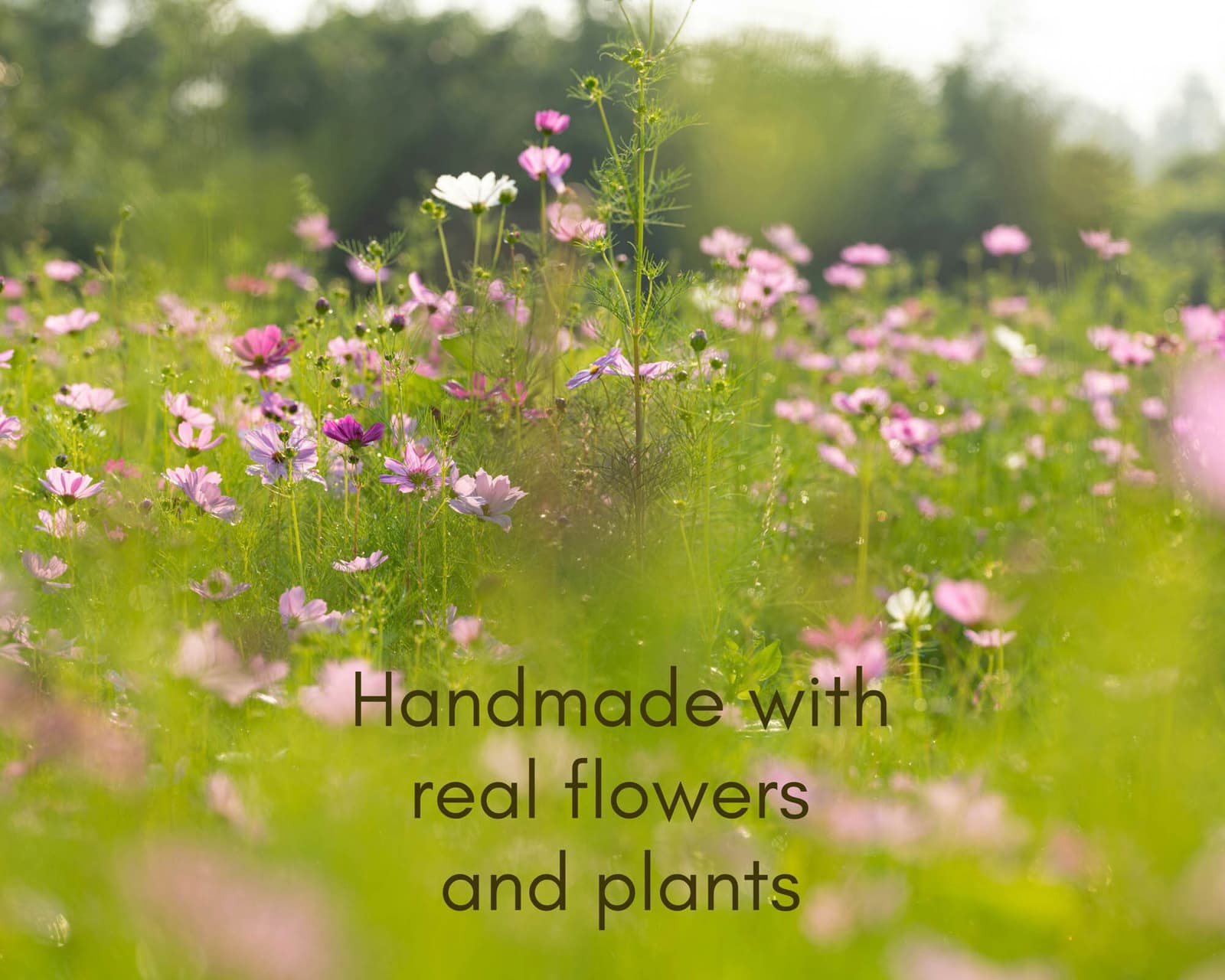 Field of wildflowers with overlay text reading “Handmade with real flowers and plants.”