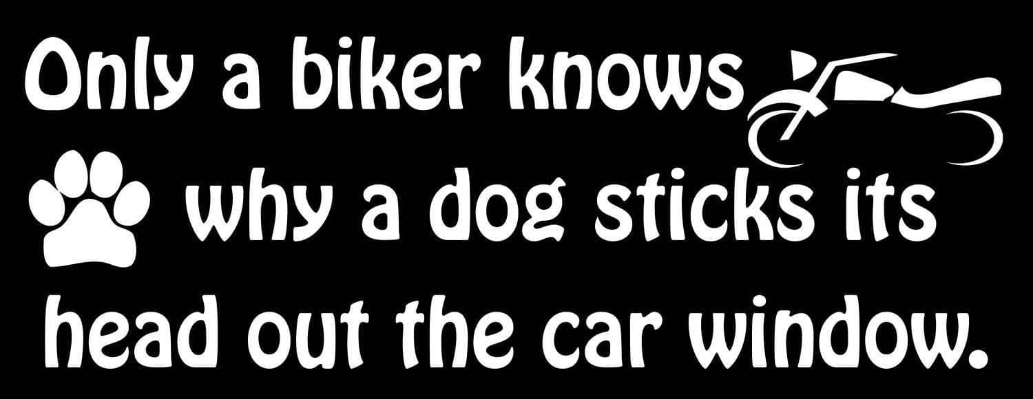 Adhesivo para moto sobre perros, foto 2