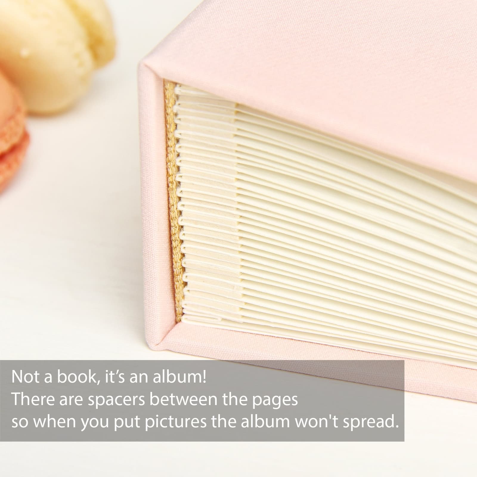 Interior del álbum con papel libre de ácido