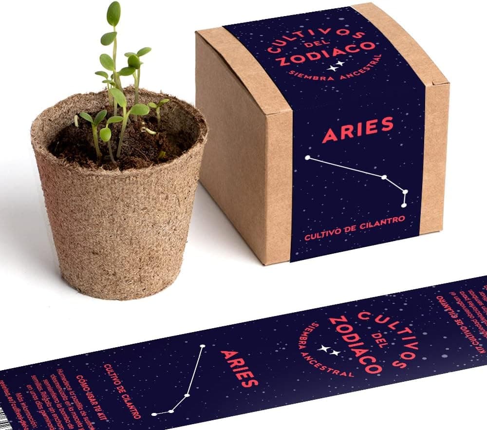 Kit de cultivo del zodiaco Aries con maceta y bomba de semillas