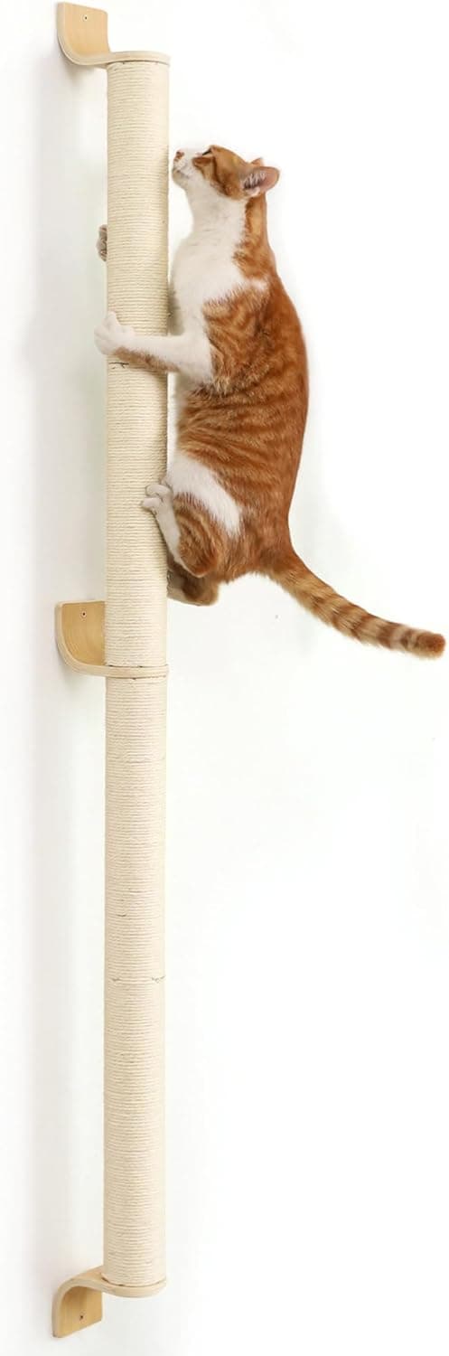 Poste vertical de sisal claro fijado a la pared con un gato naranja trepando por él