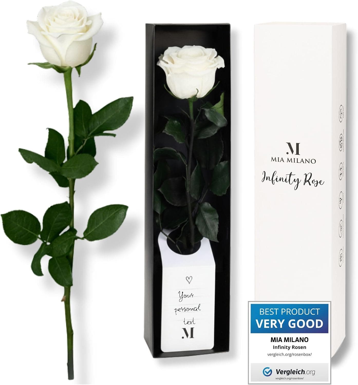 Rosa eterna blanca Mia Milano, dura hasta 5 años