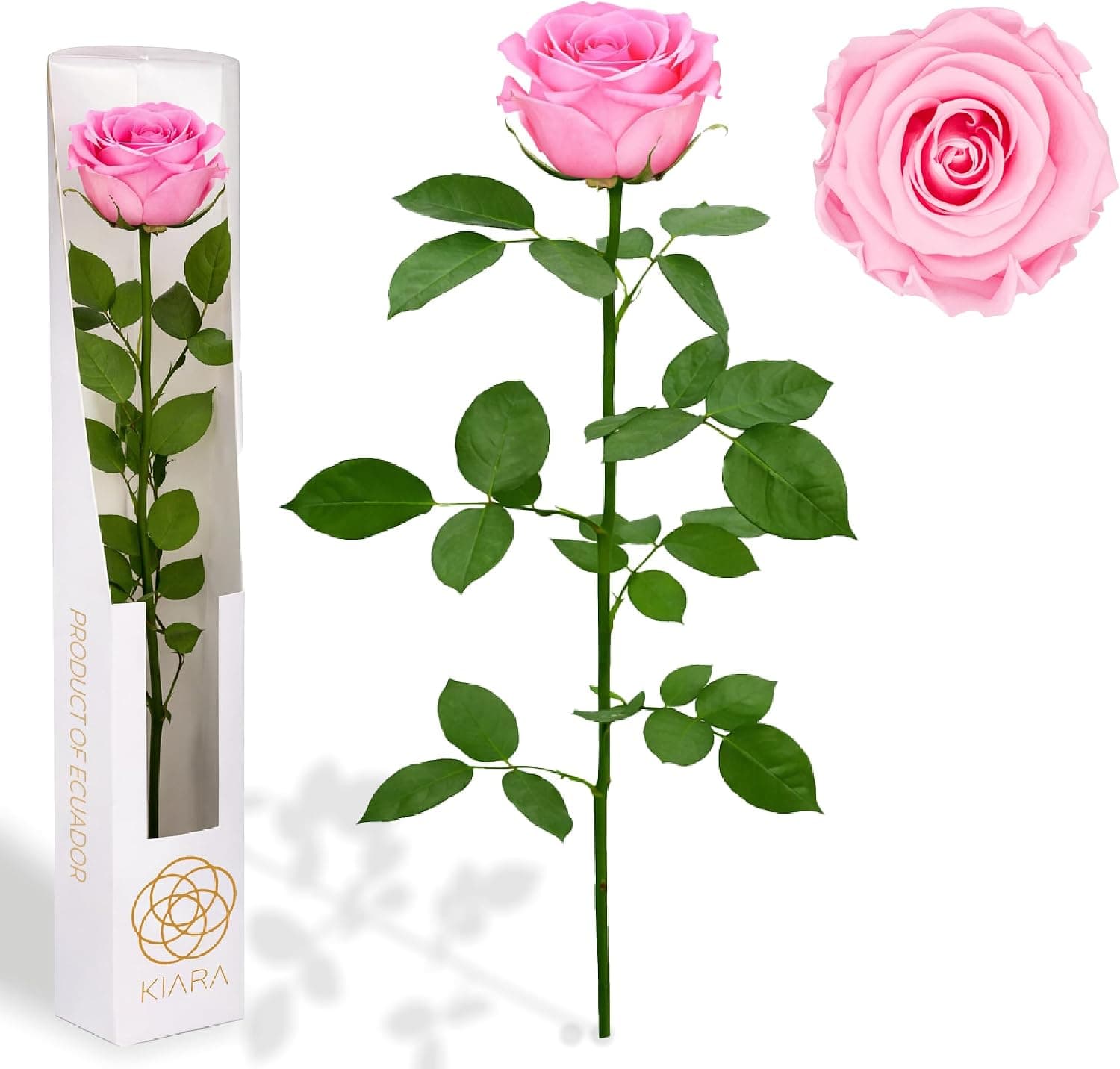 Rosa eterna de tallo largo, 55 centímetros