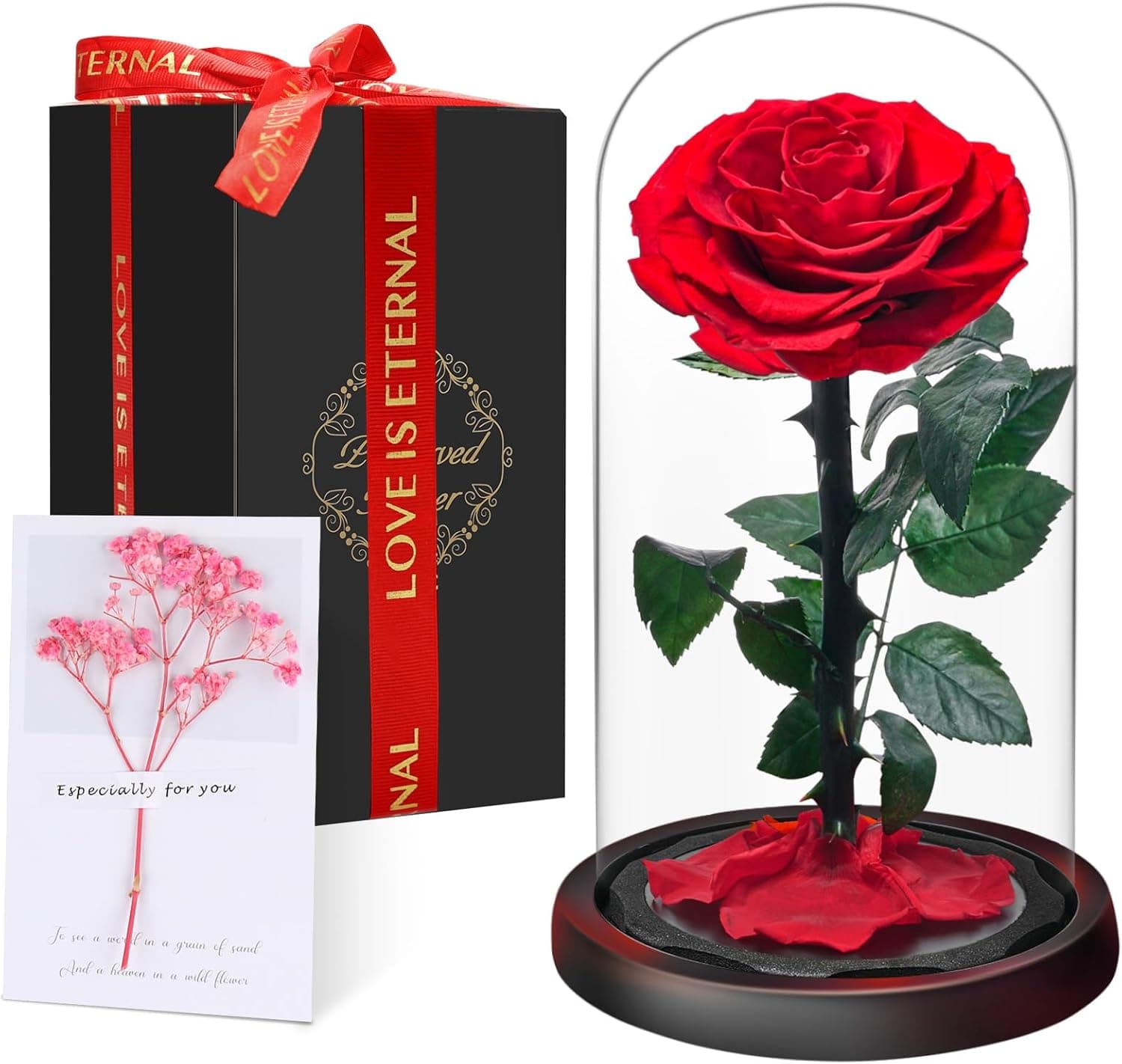 Rosa eterna Touloube en cúpula, estilo Bella y Bestia