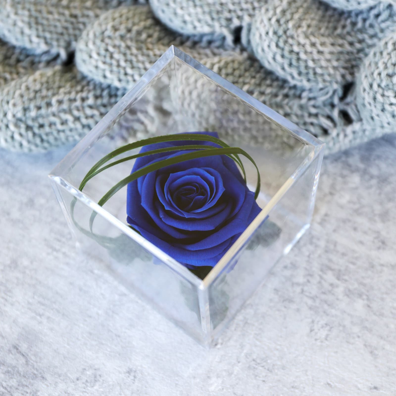 Cubo con Rosa Eterna Azul Real